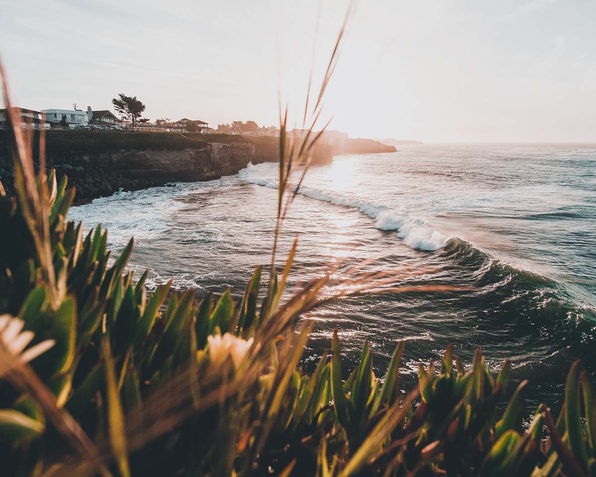 santa cruz ocean wave near a cliff grass